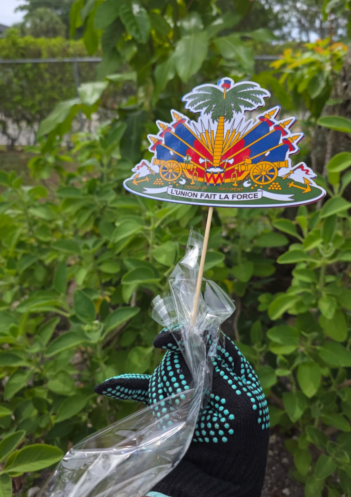 Haitian Cake Topper | Bon Fèt Decoration